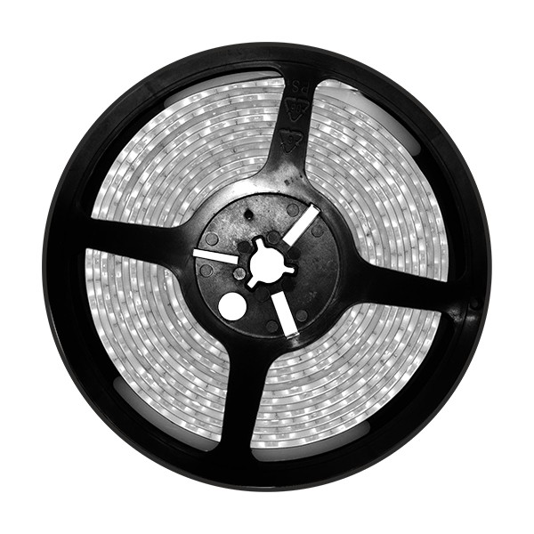 CINTA LEDs 5mts 4,8W/m 6000K 12V IP20